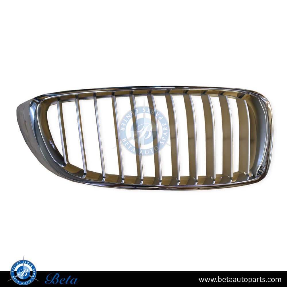 Right Side Radiator Grille for BMW 4 Series F32 / F36 2014-2020 models, Part Number 51137294820 Right Side Radiator Grille for BMW 4 Series F32 / F36 2014-2020 models, Part Number 51137294820